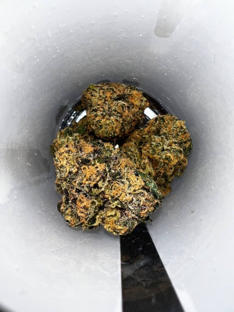 PREFERRED GARDENDS CANNABIS  FLOWER